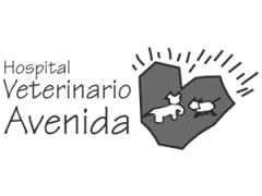 Hospital veterinario avenida em bilbo